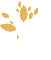 Bott & Associates, Ltd.