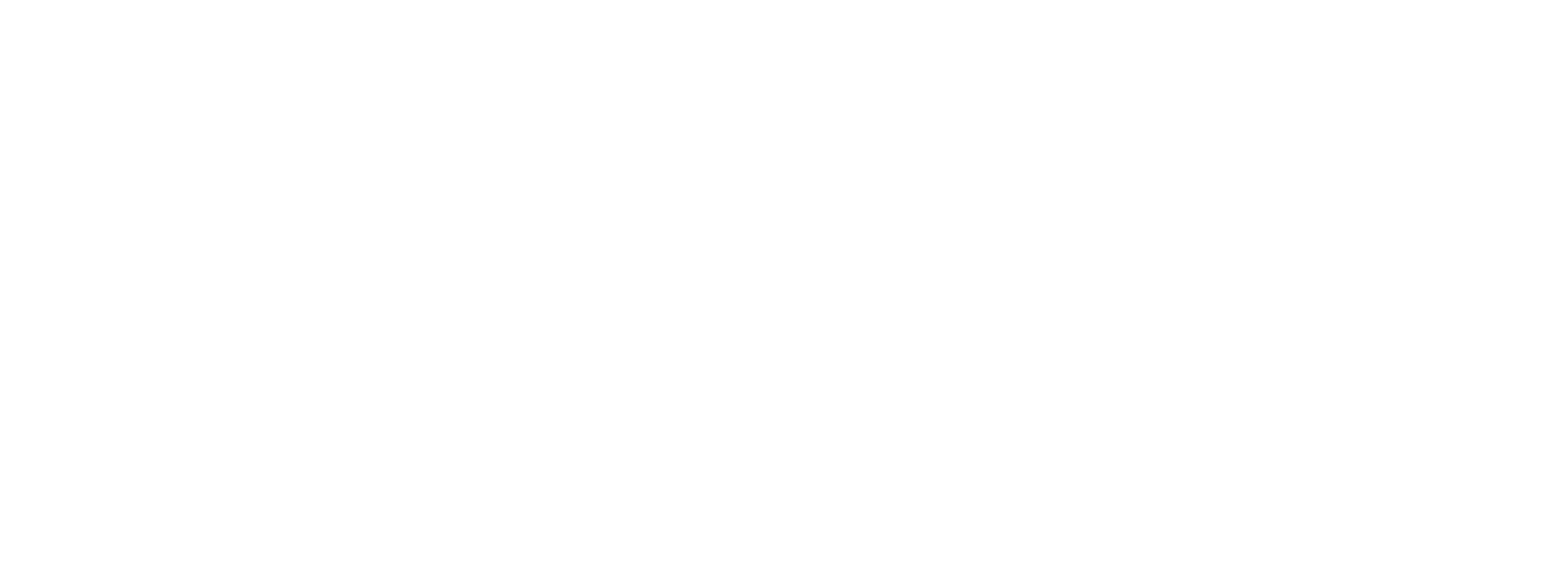 Bott & Associates, Ltd.