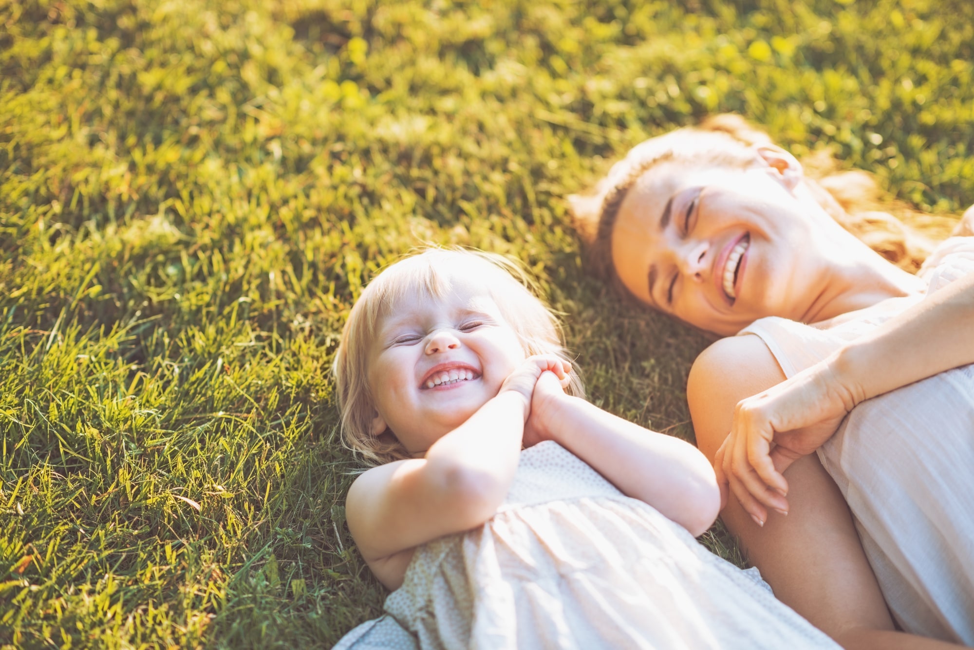 Estate Planning Attorney Illinois
