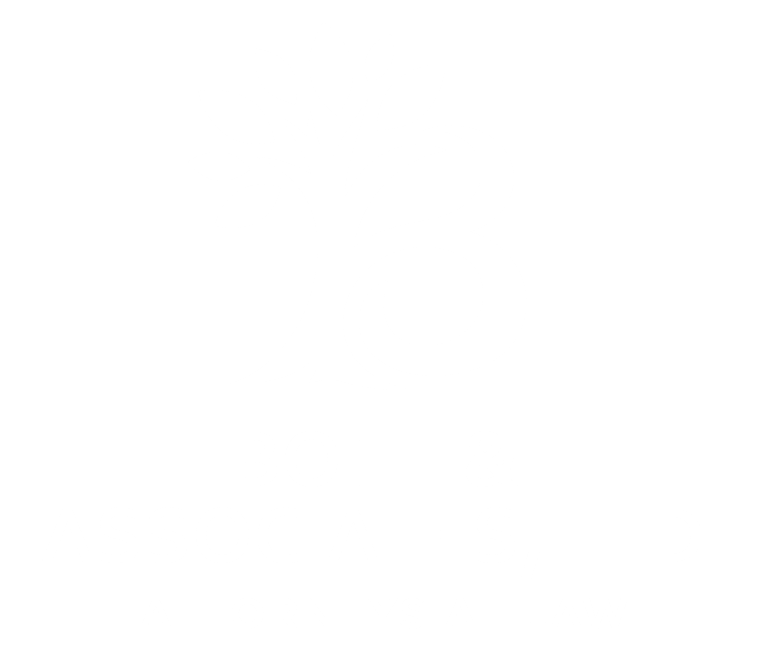 Bott & Associates, Ltd.
